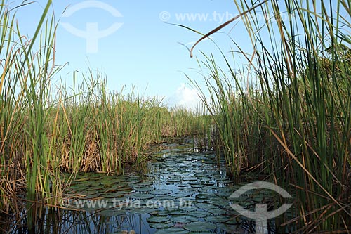  Subject: Sucuriju River channel toward Piratuba Lake - Biological Reserve Lago Piratuba (Piratuba Lake)  / Place: Amapa state (AP) - Brazil / Date: 05/2012 