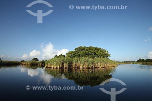  Subject: Sucuriju River channel toward Piratuba Lake - Biological Reserve Lago Piratuba (Piratuba Lake)  / Place: Amapa state (AP) - Brazil / Date: 05/2012 