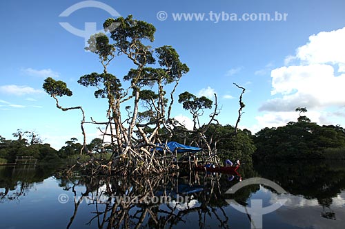  Subject: Sucuriju River channel toward Piratuba Lake - Biological Reserve Lago Piratuba (Piratuba Lake)  / Place: Amapa state (AP) - Brazil / Date: 05/2012 