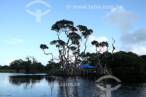  Subject: Sucuriju River channel toward Piratuba Lake - Biological Reserve Lago Piratuba (Piratuba Lake)  / Place: Amapa state (AP) - Brazil / Date: 05/2012 