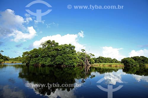  Subject: Sucuriju River channel toward Piratuba Lake - Biological Reserve Lago Piratuba (Piratuba Lake)  / Place: Amapa state (AP) - Brazil / Date: 05/2012 