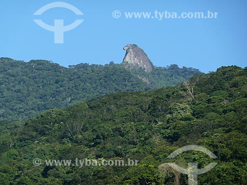  Subject: Bico do Papagaio mountain / Place: Ilha Grande District - Angra dos Reis city - Rio de Janeiro state (RJ) - Brazil / Date: 06/2011 