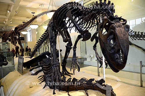  Subject: Fossil of an Allosaurus at the American Museum of Natural History - Allosaurus means 