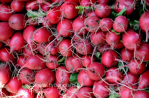  Subject: Organic turnips for sale in Manhattan / Place: Manhattan - New York - United States of America - North America / Date: 06/2011 