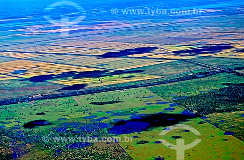  Subject: Aerial view of planting rice / Place: Tocantins (TO) - Brazil / Date: 2000 