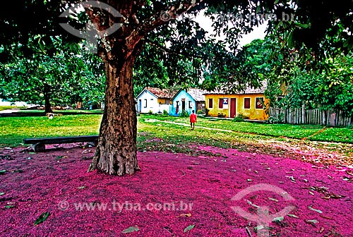  Subject: Detail of flowers of jambo on the floor and houses of Quadrado de Trancoso in the background / Place: Trancoso district  -  Porto Seguro city -  Bahia state (BA) - Brazil / Date: 1999 