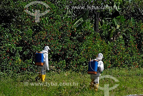 Subject: Application of agricultural pesticides in rural area / Place: Sao Paulo state (SP) - Brazil / Date: 04/2008 