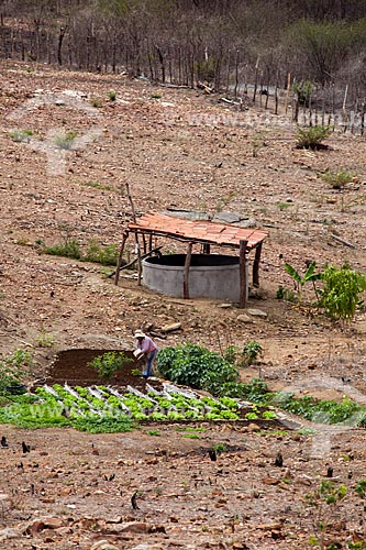  Subject: Subsistence garden in a small farm with a water reservoir in the background / Place: Canaa - Pernambuco state (PE) - Brazil / Date: 01/2013 