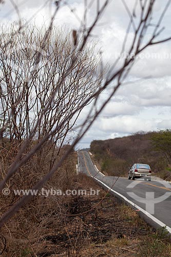  Subject: Dry vegetation on the banks of the PE-320 Highway / Place: Pernambuco state (PE) - Brazil / Date: 01/2013 