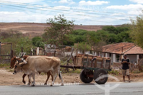  Subject: Ox car at Backwood of Pajeu / Place: Sao Jose do Egito city - Pernambuco state (PE) - Brazil / Date: 01/2013 