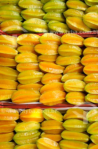  Subject: Carambola ready for commercialization / Place: Candido Rodrigues city - Sao Paulo state (SP) - Brazil / Date: 01/2013 