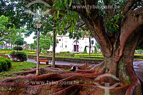  Subject: Tree at square with the Matriz Church of Bom Jesus da Cana Verde (1953) in the background / Place: Batatais city - Sao Paulo state (SP) - Brazil / Date: 12/2012 