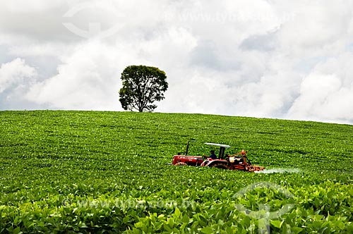  Subject: Tractor applying pesticides in a soybean plantation / Place: Near to Cruzilia city - Minas Gerais state (MG) - Brazil / Date: 01/2013 