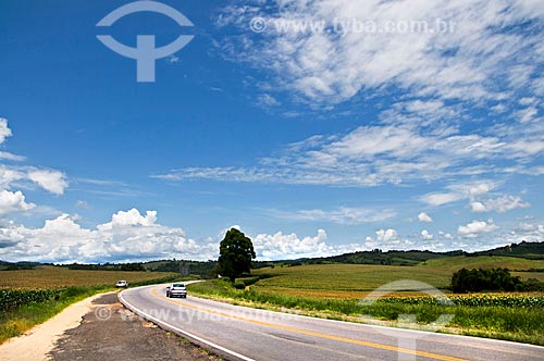  Subject: Vital Brazil Highway / Place: Near to Baependi city - Minas Gerais state (MG) - Brazil / Date: 01/2013 