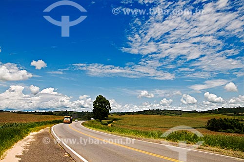  Subject: Vital Brazil Highway / Place: Near to Baependi city - Minas Gerais state (MG) - Brazil / Date: 01/2013 