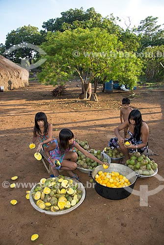  Subject: Woman and children of Aiha Kalapalo Village cutting Pequi (Caryocar brasiliense) to prepare the porridge - INCREASE OF 100% OF THE VALUE OF TABLE / Place: Querencia city - Mato Grosso state (MT) - Brazil / Date: 10/2012 