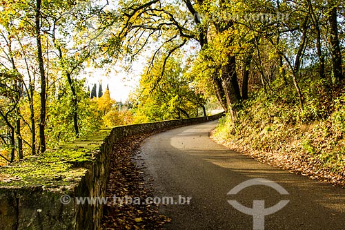  Subject: Road with typical landscape of the Tuscany region / Place: Impruneta - Florence - Italy - Europe / Date: 12/2012 