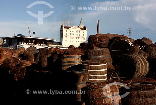  Subject: Piassavas (Attalea funifera) in the Sao Raimundo Port with the Miranda Correa & Cia  Beer Factory - the first brewery and ice of Manaus - in the background / Place: Manaus city - Amazonas state (AM) - Brazil / Date: 05/2010 