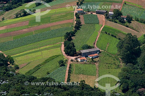  Subject: Kitchen gardens in rural property / Place: Caieiras city - Sao Paulo state (SP) - Brazil / Date: 02/2013 