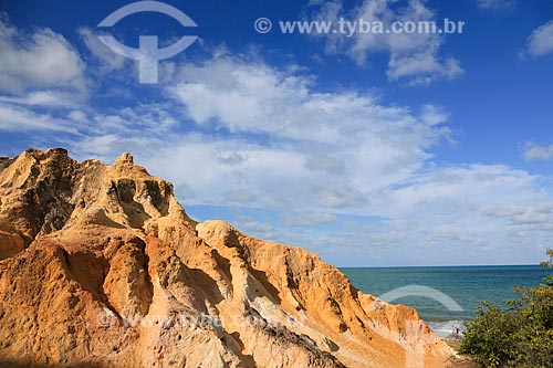  Subject: Cliffs on the Pitimbu beach / Place: Pitimbu city - Paraiba state (PB) - Brazil / Date: 01/2013 