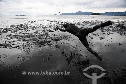  Subject: Merrymaker of the Block da Lama diving into the mangrove of the Jabaquara beach  / Place: Paraty city - Rio de Janeiro state (RJ) - Brazil / Date: 02/2013 