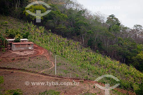  Subject: House and plantation of small rural producer  / Place: Areia city - Paraiba state (PB) - Brazil / Date: 02/2013 