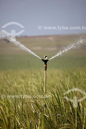  Subject: Irrigation at plantation of sugarcane the margins of Highway PE-075 / Place: Goiana city - Pernambuco state (PE) - Brazil / Date: 02/2013 