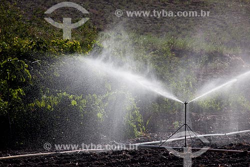  Subject: Irrigation at planting sugarcane at Uruae Mill / Place: Goiana city - Pernambuco state (PE) - Brazil / Date: 02/2013 