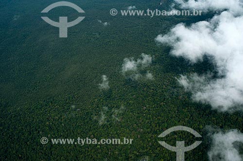  Subject: Pico da Neblina National Park / Place: Amazonas state (AM) - Brazil / Date: 10/2012 