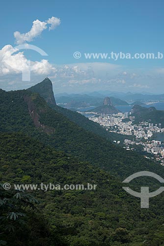  Subject: View of the Tijuca Forest,Christ the Redeemer and Sugar Loaf in the background / Place: Rio de Janeiro city - Rio de Janeiro state (RJ) - Brazil / Date: 02/2013 
