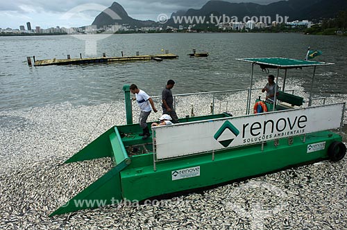  Subject: Employees of Comlurb removing dead fish of Rodrigo de Freitas Lagoon / Place: Rio de Janeiro city - Rio de Janeiro state (RJ) - Brazil / Date: 03/2013 