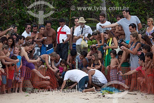  Tourists Tourists photographing pup of Hawksbill sea turtle (Eretmochelys imbricata), threatened species - Spawning controlled by TAMAR Project   - Tibau do Sul city - Rio Grande do Norte state (RN) - Brazil