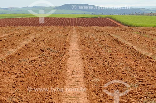  Subject: Plowed land for planting of sugarcane / Place: Delfinopolis city - Minas Gerais state (MG) - Brazil / Date: 03/2013 