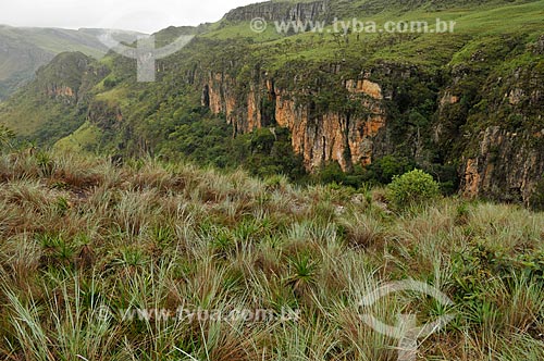  Subject: View of Canteiros Valley at Canastra Mountain Range / Place: Sao Joao Batista do Gloria city - Minas Gerais state (MG) - Brazil / Date: 03/2013 