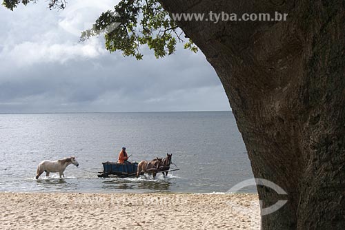  Subject: Wagon with horses on the banks of the Patos Lagoon / Place: Sao Lourenco do Sul city - Rio Grande do Sul state (RS) - Brazil / Date: 2012 