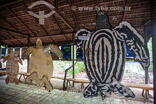  Prototypes with didactic purpose of species (from left to right) Loggerhead sea turtle (Caretta caretta), Green sea turtle (Chelonia mydas), Leatherback sea turtle (Dermochelys coriacea), in the Museum of the Ecological Sanctuary of Pipa /   - Tibau do Sul city - Rio Grande do Norte state (RN) - Brazil