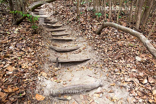  Subject: Ladder on the trail called Velho Castelo (Old Castle) in Ecological Sanctuary of Pipa / Place: Tibau do Sul city - Rio Grande do Norte state (RN) - Brazil / Date: 03/2013 