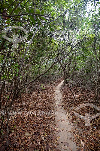  Subject: Trail in Ecological Sanctuary of Pipa / Place: Tibau do Sul city - Rio Grande do Norte state (RN) - Brazil / Date: 03/2013 
