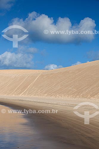  Subject: Dune at Genipapu Beach of Jenipabu APA / Place: Extremoz city - Rio Grande do Norte state (RN) - Brazil / Date: 03/2013 