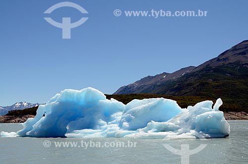  Subject: Iceberg detached from the Glaciar Perito Moreno (Perito Moreno Glacier) floating in Argentino Lake / Place: Santa Cruz Province - Argentina - South America / Date: 01/2012 