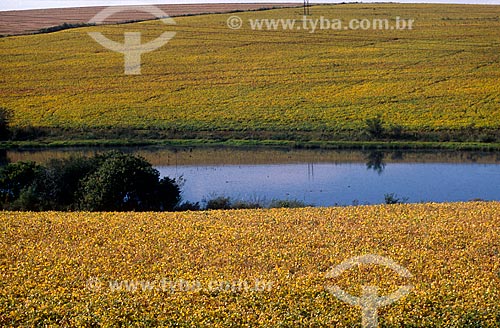  Subject: View of Dam and planting soybeans / Place: Passo Fundo city - Rio Grande do Sul state (RS) - Brazil / Date: 2004 