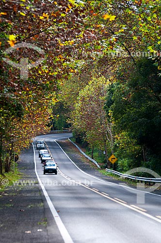  Subject: Road of Romantic Route in BR-116 / Place: Rio Grande do Sul state (RS) - Brazil / Date: 05/2013 