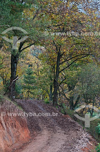  Subject: Dirt road at Gaucha Mountain Range / Place: Rio Grande do Sul state (RS) - Brazil / Date: 05/2013 