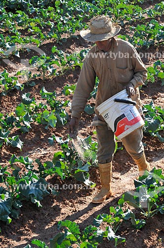  Subject: Manual fertilization of broccoli planting / Place: Sao Jose do Rio Preto city - Sao Paulo state (SP) - Brazil / Date: 05/2013 