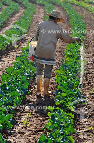  Subject: Manual fertilization of broccoli planting / Place: Sao Jose do Rio Preto city - Sao Paulo state (SP) - Brazil / Date: 05/2013 