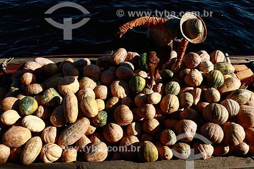  Subject: Salesman disembarking pumpkins in the port of Manaus / Place: Manaus city - Amazonas state (AM) - Brazil / Date: 06/2013 