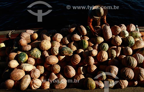  Subject: Salesman disembarking pumpkins in the port of Manaus / Place: Manaus city - Amazonas state (AM) - Brazil / Date: 06/2013 