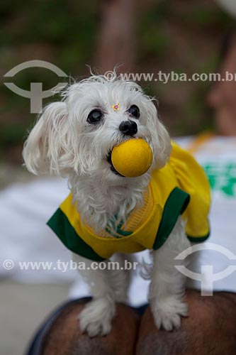  Subject: Dog wearing shirt of Brazil before the match between Brazil x Spain for the final of the Confederations Cup / Place: Maracana neighborhood - Rio de Janeiro city - Rio de Janeiro (RJ) - Brazil / Date: 06/2013 