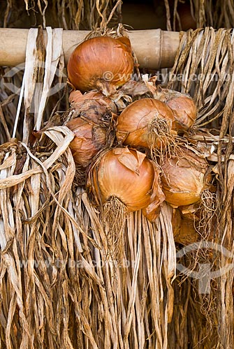  Subject: Detail of onions awaiting transport after harvest / Place: Nova Padua city - Rio Grande do Sul state (RS) - Brazil / Date: 01/2012 