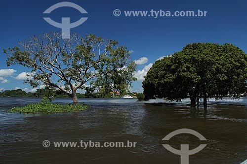  Subject: Banks of the Amazon River near to Parintins / Place: Parintins city - Amazonas state (AM) - Brazil / Date: 06/2013 